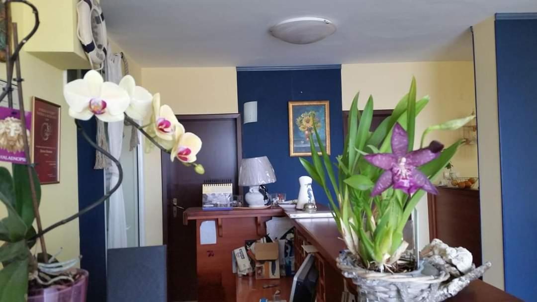 סוזופול Hotel Lozite מראה חיצוני תמונה